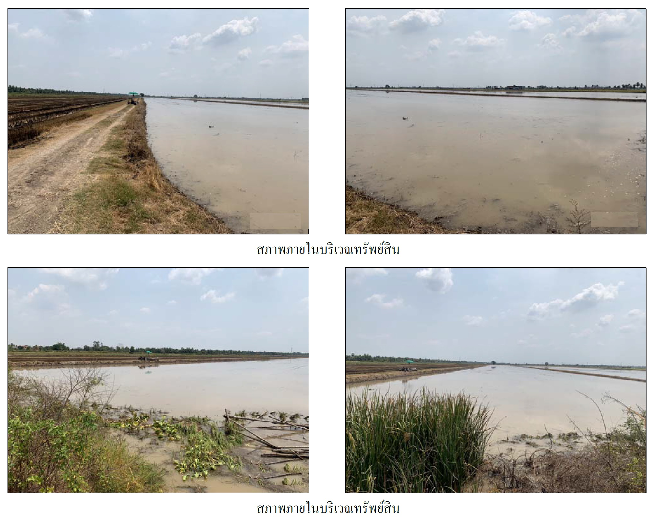KTB : ที่ดิน ตำบลพืชอุดม ปทุมธานี 59MT030101710