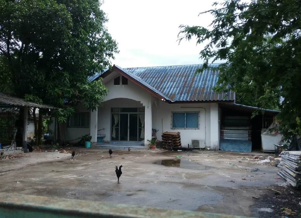 KTB : ที่ดินพร้อมสิ่งปลูกสร้าง ตำบลสันกลาง เชียงใหม่ 62NN010301945