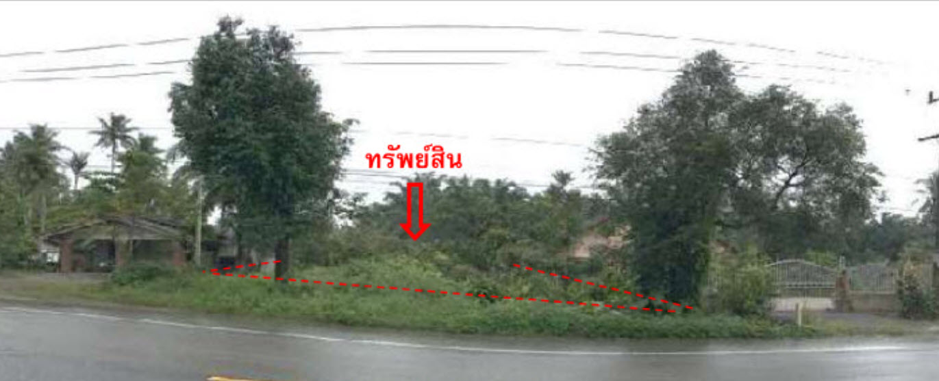 KTB : ที่ดิน ตำบลนาเมืองเพชร ตรัง 62SS010101415