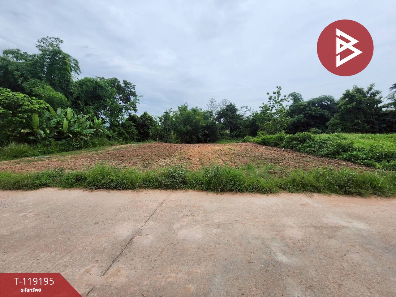 ขายที่ดิน เนื้อที่ 2 งาน 47 ตร.วา ท่าจำปี พะเยา