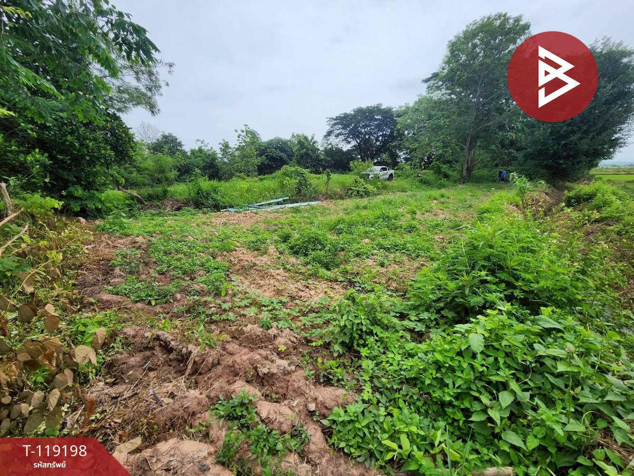 ขายที่ดิน เนื้อที่ 62 ตร.วา ท่าจำปี พะเยา