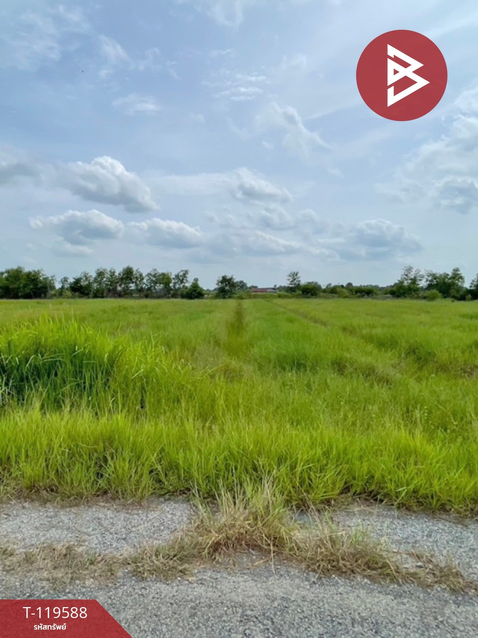 ขายที่ดิน เนื้อที่ 2 ไร่ บางน้ำเปรี้ยว ฉะเชิงเทรา
