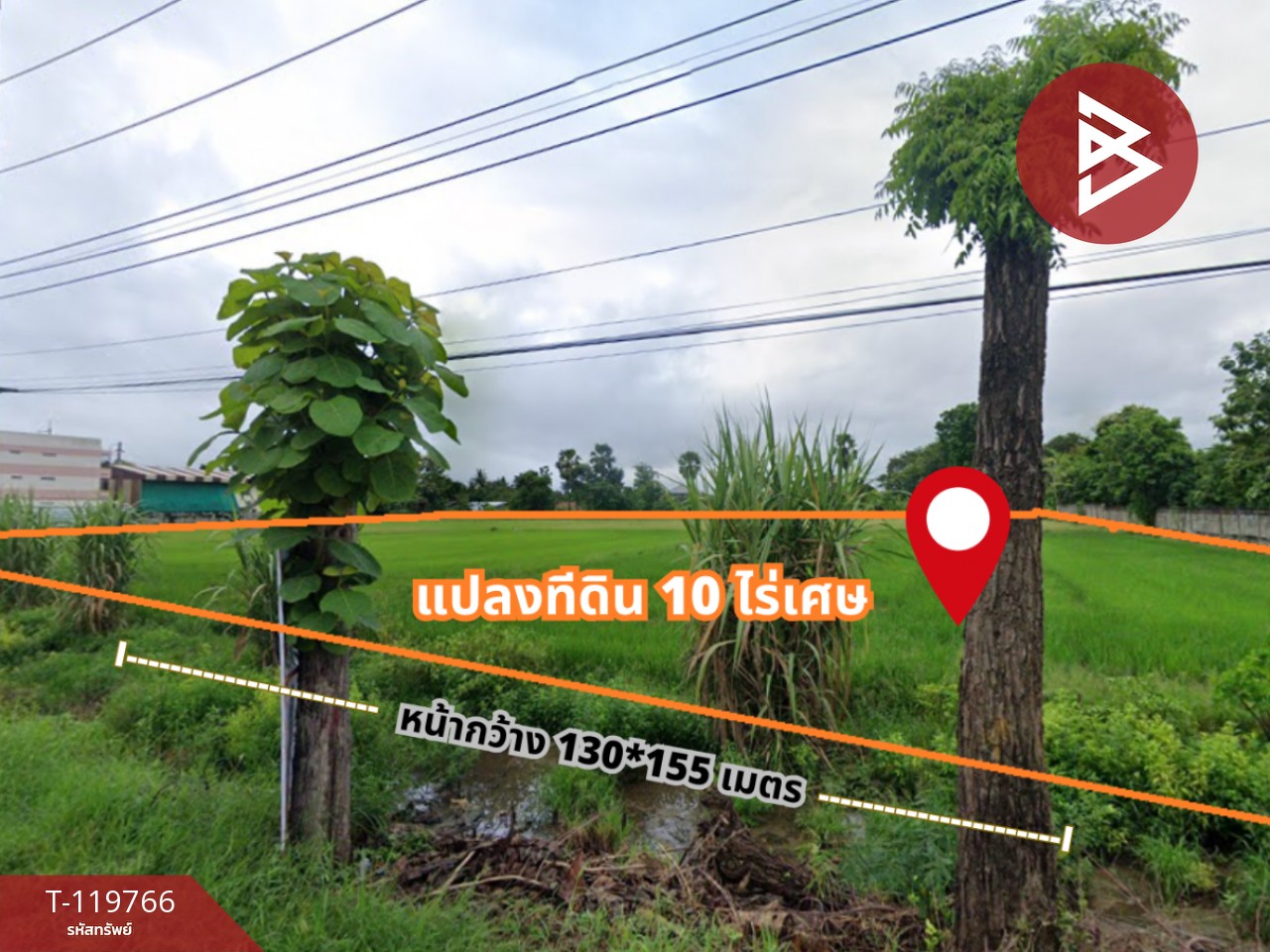 ขายที่ดิน เนื้อที่ 10 ไร่ 1 ตร.วา บ้านเกาะ อุตรดิตถ์