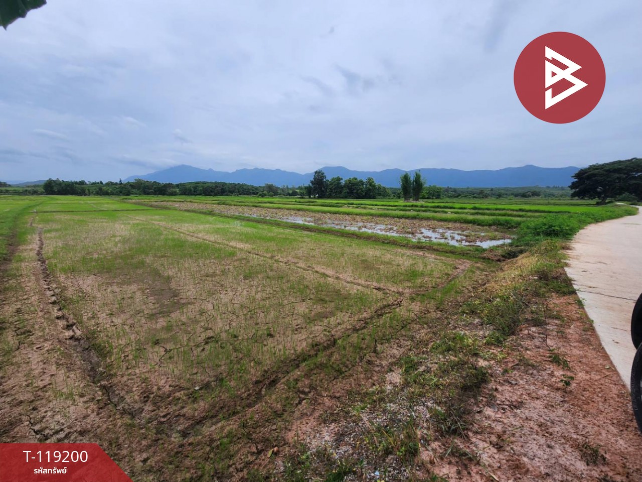 ขายที่ดิน เนื้อที่ 1 ไร่ 1 งาน 81 ตร.วา ท่าจำปี พะเยา