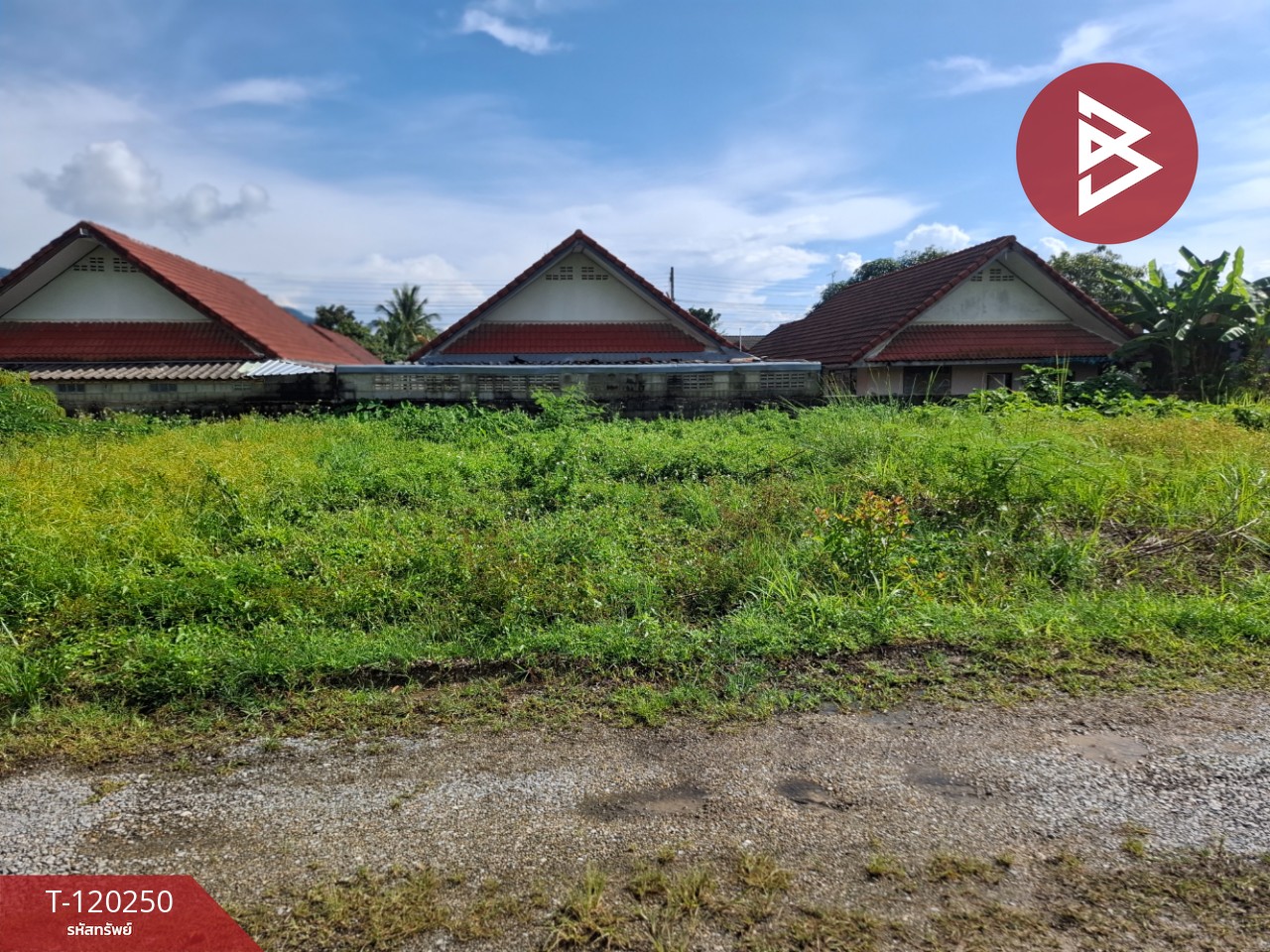 ขายที่ดิน เนื้อที่ 84.7 ตร.วา เทิง เชียงราย