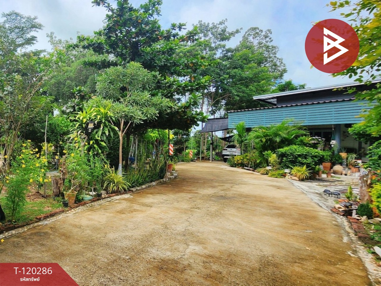 ขายบ้านเดี่ยว เนื้อที่ 1 ไร่ 36.3 ตร.วา ทัพทัน อุทัยธานี