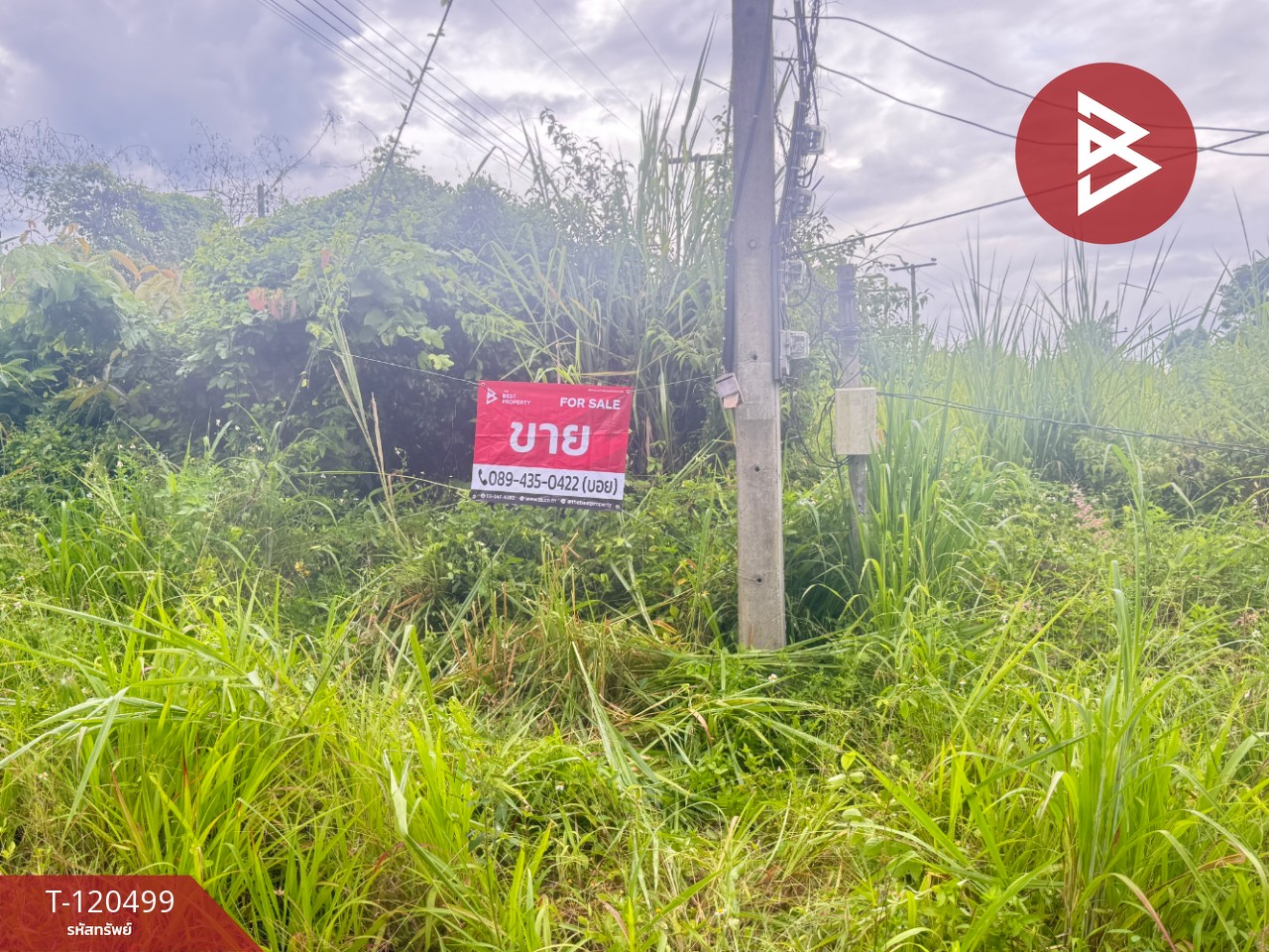 ขายที่ดิน เนื้อที่ 1 ไร่ 1 งาน 70 ตร.วา แม่วาง เชียงใหม่