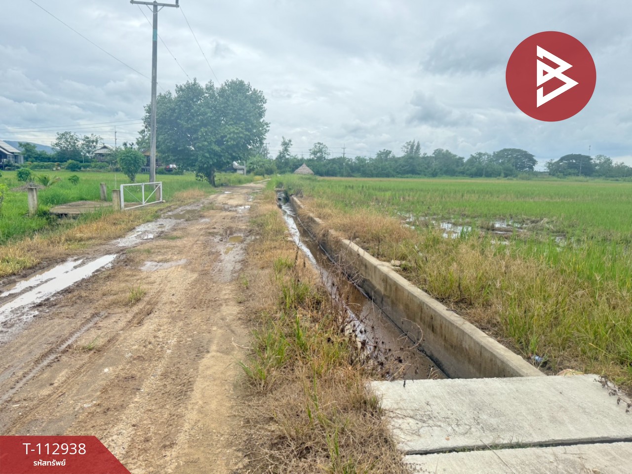 ขายที่ดิน เนื้อที่ 4 ไร่ 50.3 ตร.วา แม่แตง เชียงใหม่