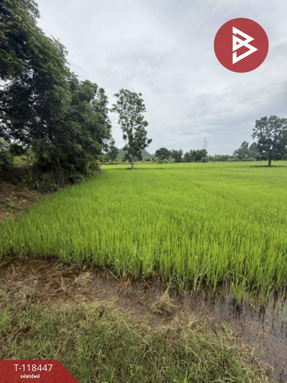 ขายด่วนที่ดิน เนื้อที่ 4 ไร่ หันคา ชัยนาท
