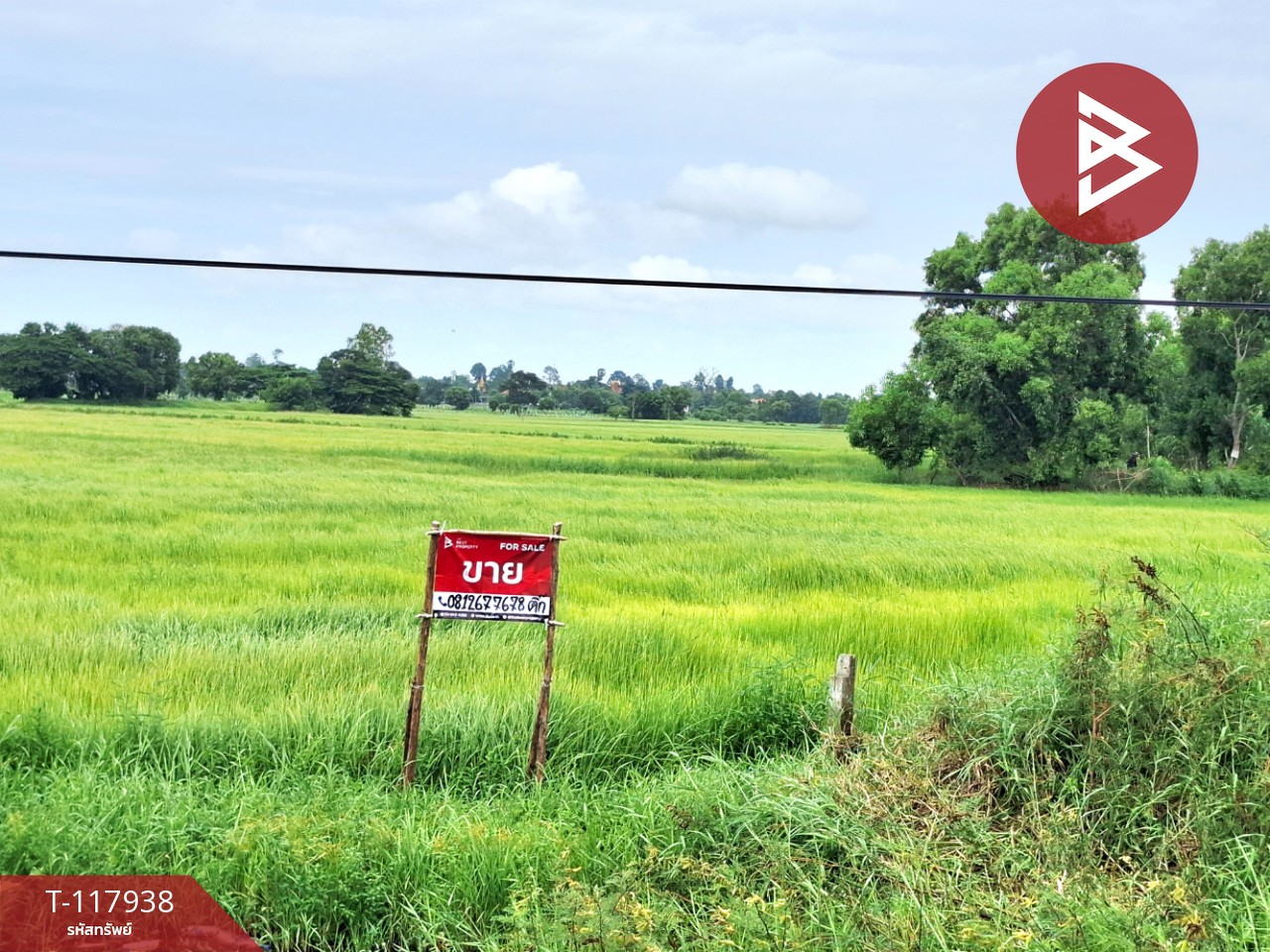 ขายที่ดิน เนื้อที่ 5 ไร่ 1 งาน 68 ตร.วา อาจสามารถ ร้อยเอ็ด