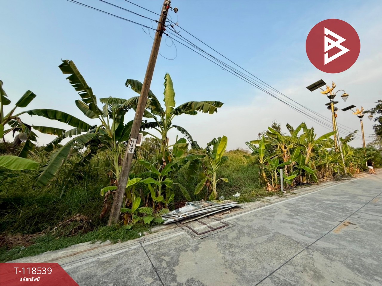 ขายที่ดิน เนื้อที่ 1 งาน 78.5 ตร.วา บางพลี สมุทรปราการ