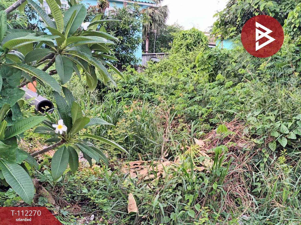 ขายที่ดินใน หมู่บ้านพฤกษา 2 รังสิต-คลอง 8 ปทุมธานี