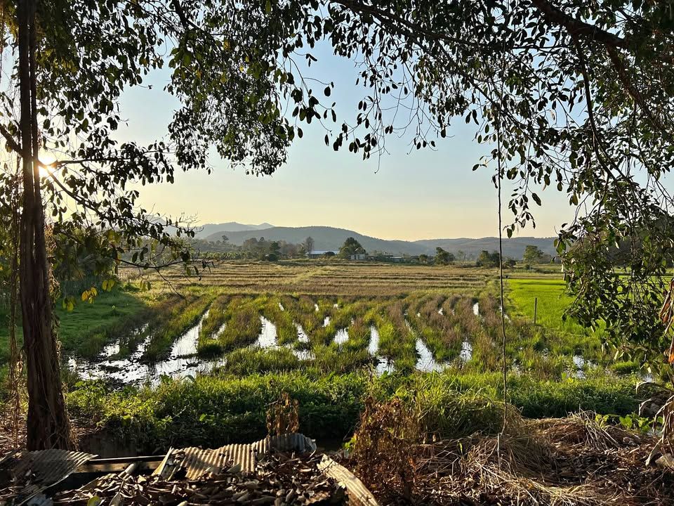 8 Rai Mae Rim Investment Property