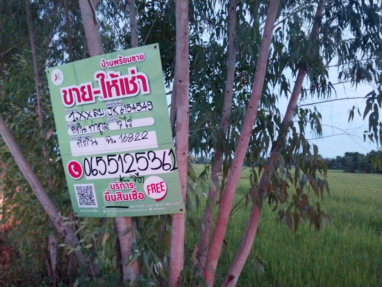ที่ดินเปล่าสุรินทร์