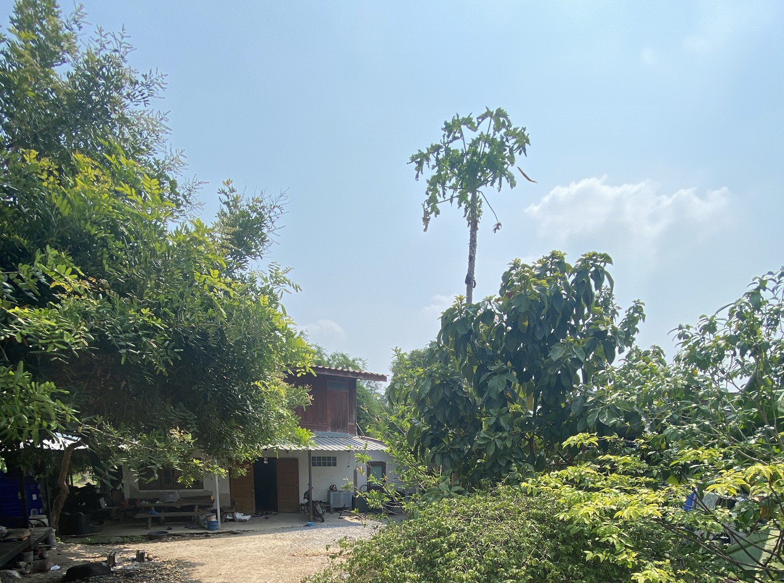 บ้านเดี่ยว : นอกโครงการสระบุรี
