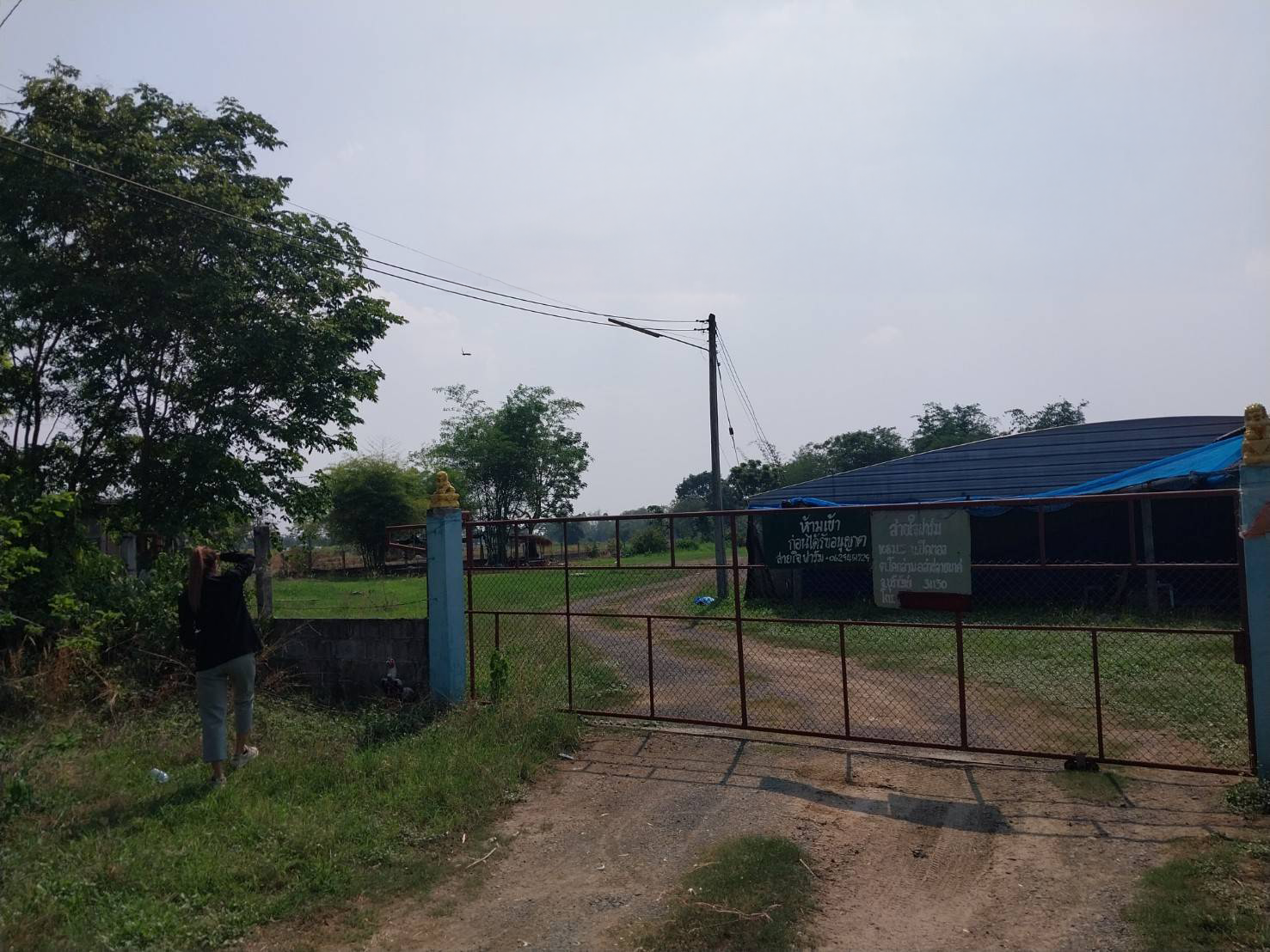 ทาวน์โฮม : นอกโครงการบุรีรัมย์