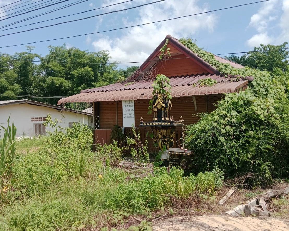 บ้านเดี่ยว : นอกโครงการตรัง