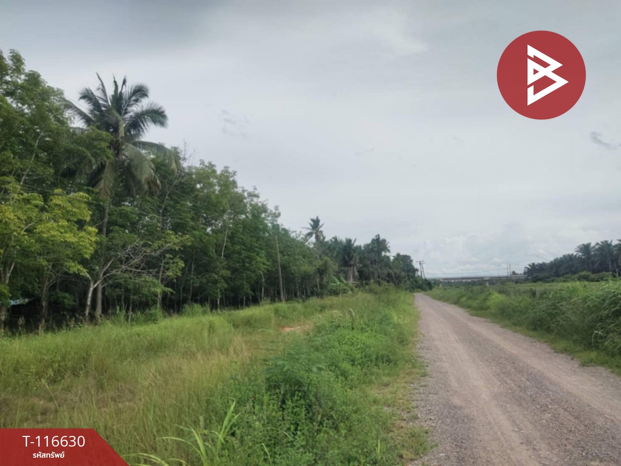 ขายที่ดิน เนื้อที่ 6 ไร่ 3 งาน 50 ตร.วา บางสะพาน ประจวบคีรีขันธ์