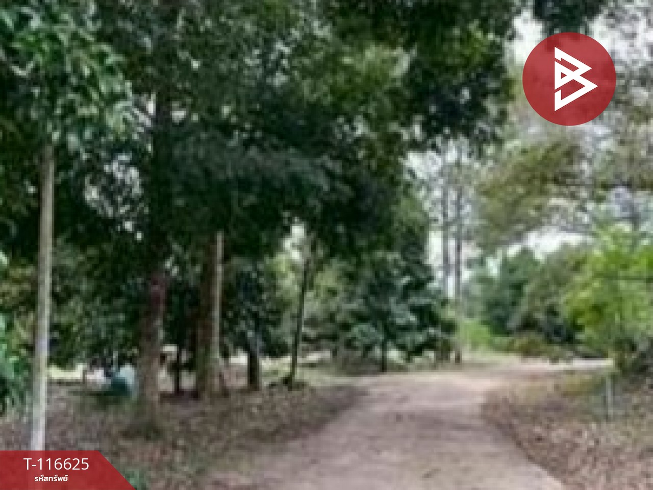 ขายที่ดินพร้อมสวน เนื้อที่ 7 ไร่ 22 ตร.วา มะขาม จันทบุรี