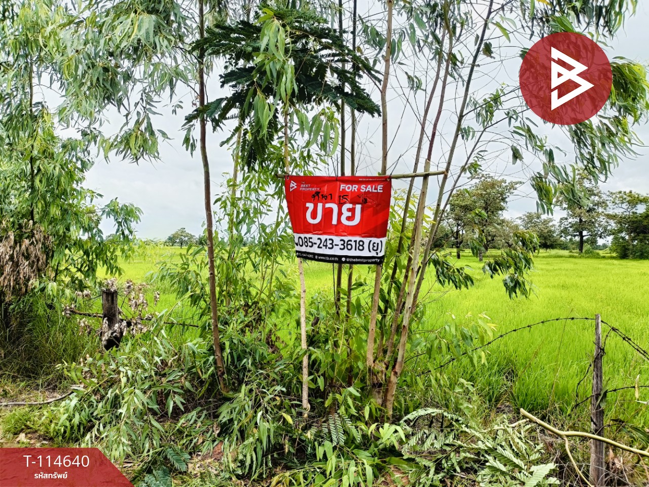 ขายที่ดิน เนื้อที่ 15 ไร่ 40.9 ตร.วา ยางตลาด กาฬสินธุ์