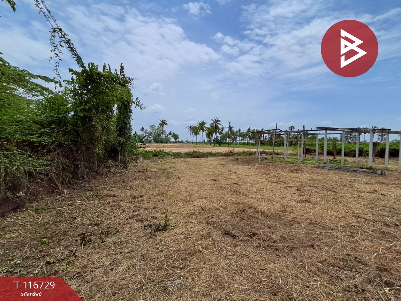 ขายที่ดิน เนื้อที่ 3 ไร่ 7 ตร.วา โพธาราม ราชบุรี