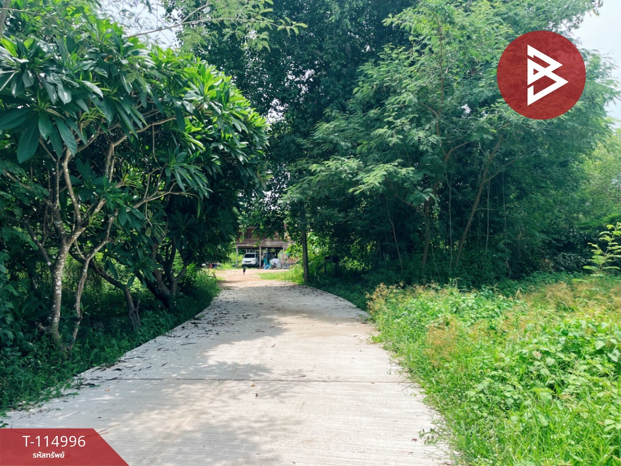 ขายที่ดิน เนื้อที่ 1 ไร่ 3 งาน 66.5 ตร.วา ต.หลุมเข้า อ.หนองขาหย่าง จ.อุทัยธานี ทำเลดี ราคาถูก