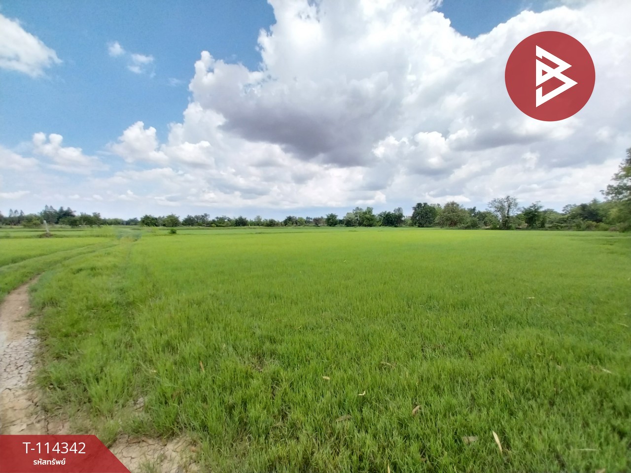 ขายที่ดินที่นา เนื้อที่ 4 ไร่ ติดถนน ต.พระลับ ขอนแก่น
