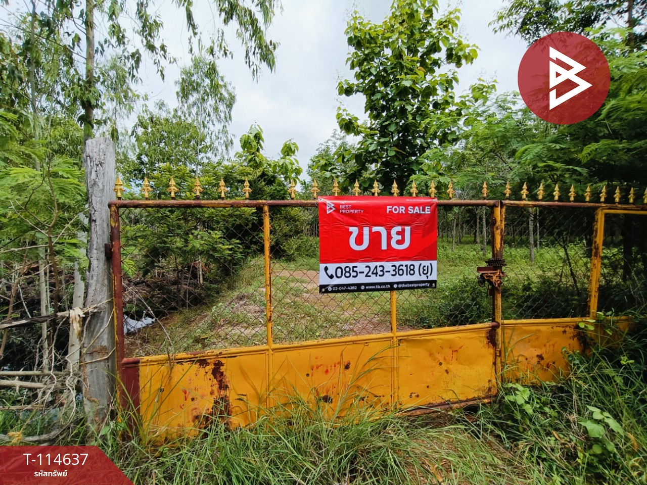 ขายที่ดิน เนื้อที่ 21 ไร่ 3 งาน 52 ตร.วา ยางตลาด กาฬสินธุ์