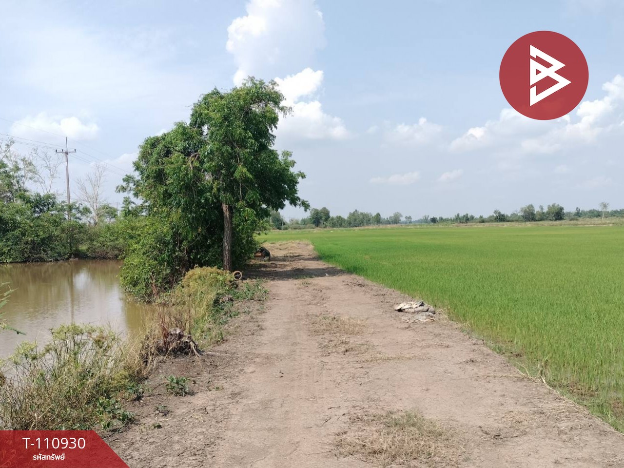 ขายที่ดิน เนื้อที่ 23 ไร่ พรหมพิราม พิษณุโลก