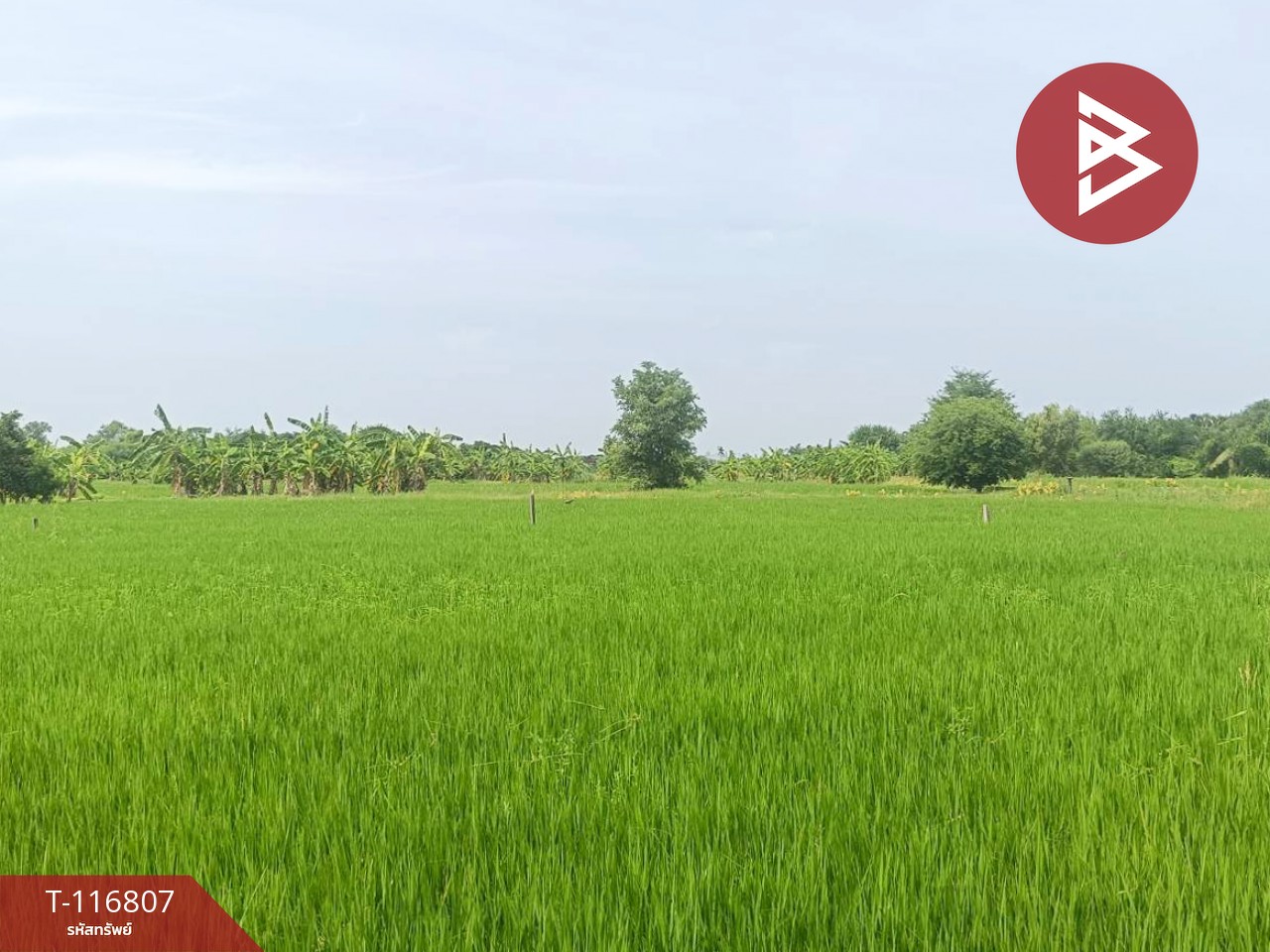 ขายที่ดิน เนื้อที่ 87 ตร.วา พุทธมณฑล นครปฐม