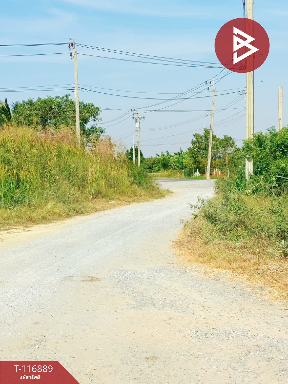 ขายที่ดิน ถ.ขุมทอง-ลำต้อยติ่ง เนื้อที่ 1 งาน ลาดกระบัง กรุงเทพมหานคร