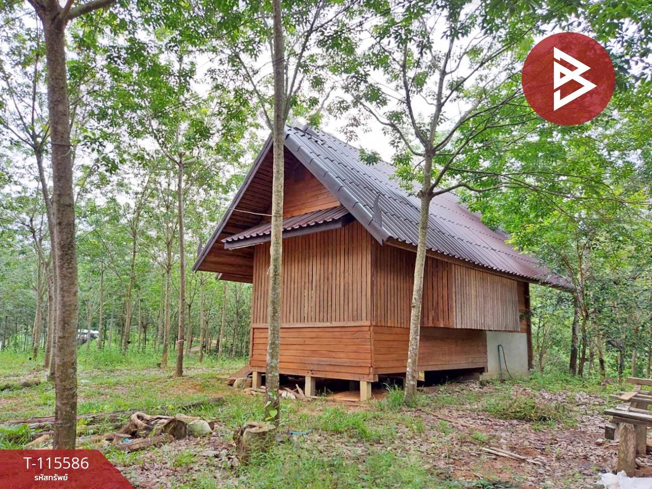 ขายที่ดิน เนื้อที่ 15 ไร่ 2 งาน 27 ตร.วา ปัว น่าน