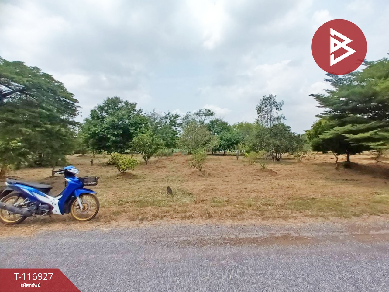 ขายที่ดิน เนื้อที่ 1 ไร่ 1 งาน 83.8 ตร.วา องครักษ์ นครนายก