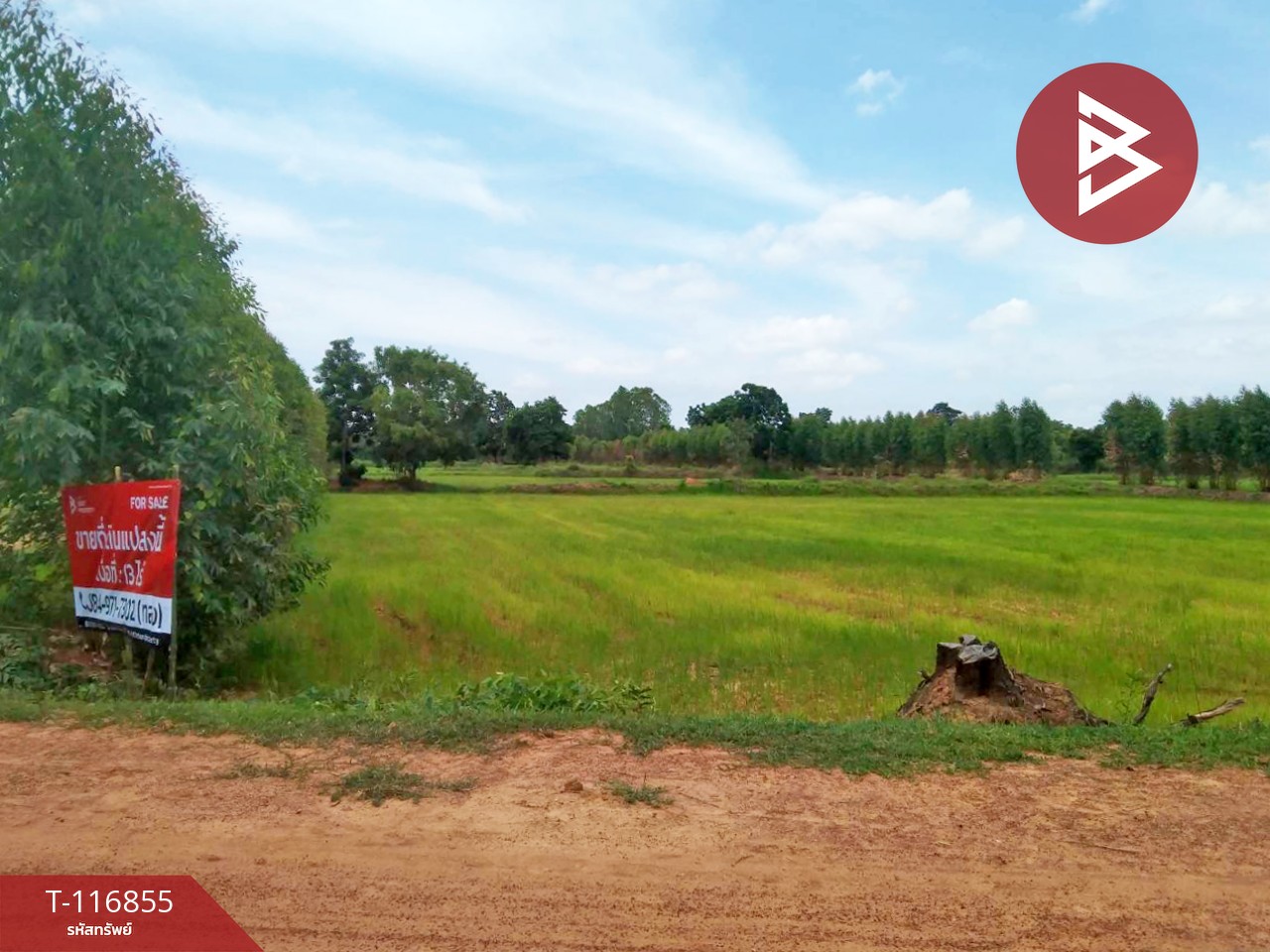 ขายที่ดิน เนื้อที่ 13 ไร่ สีดา นครราชสีมา