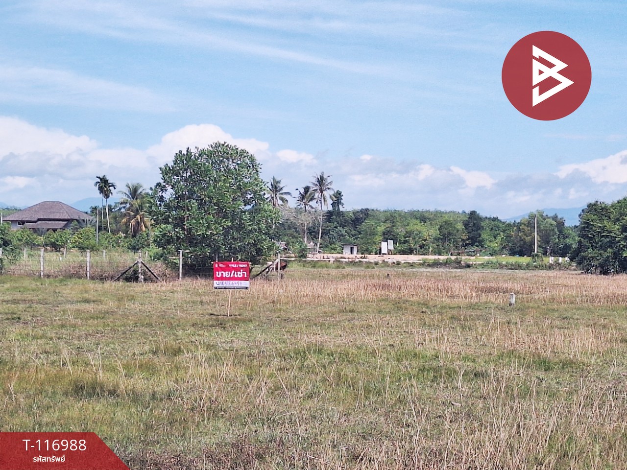 ขายที่ดิน เนื้อที่ 50.6 ตร.วา ท่าศาลา นครศรีธรรมราช