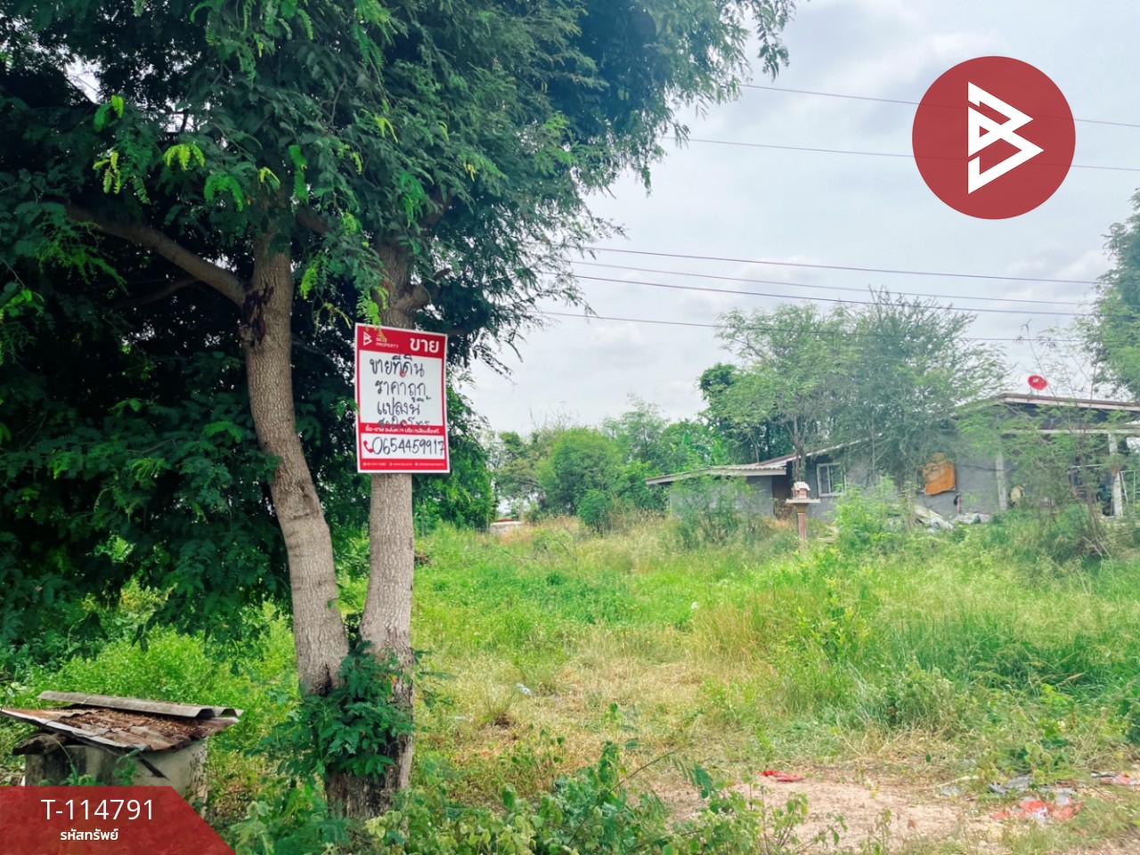 ขายที่ดิน เนื้อที่ 1 งาน 86 ตร.วา ต.บ่อกรุ อ.เดิมบางนางบวช จ.สุพรรณบุรี ราคาถูก
