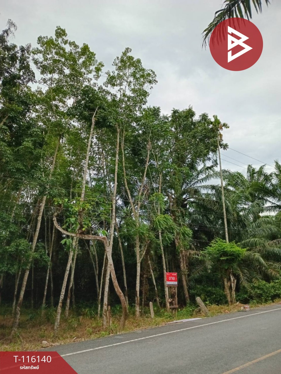 ขายที่ดิน เนื้อที่ 3 ไร่ 3 งาน 95.0 ตร.วา พระพรหม นครศรีธรรมราช