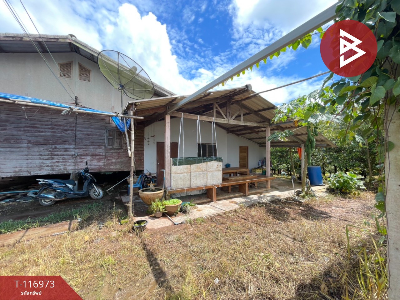 ขายบ้านเดี่ยวพร้อมสวนผลไม้ เนื้อที่ 1 ไร่ 2 งาน 67 ตร.วา แสลง จันทบุรี