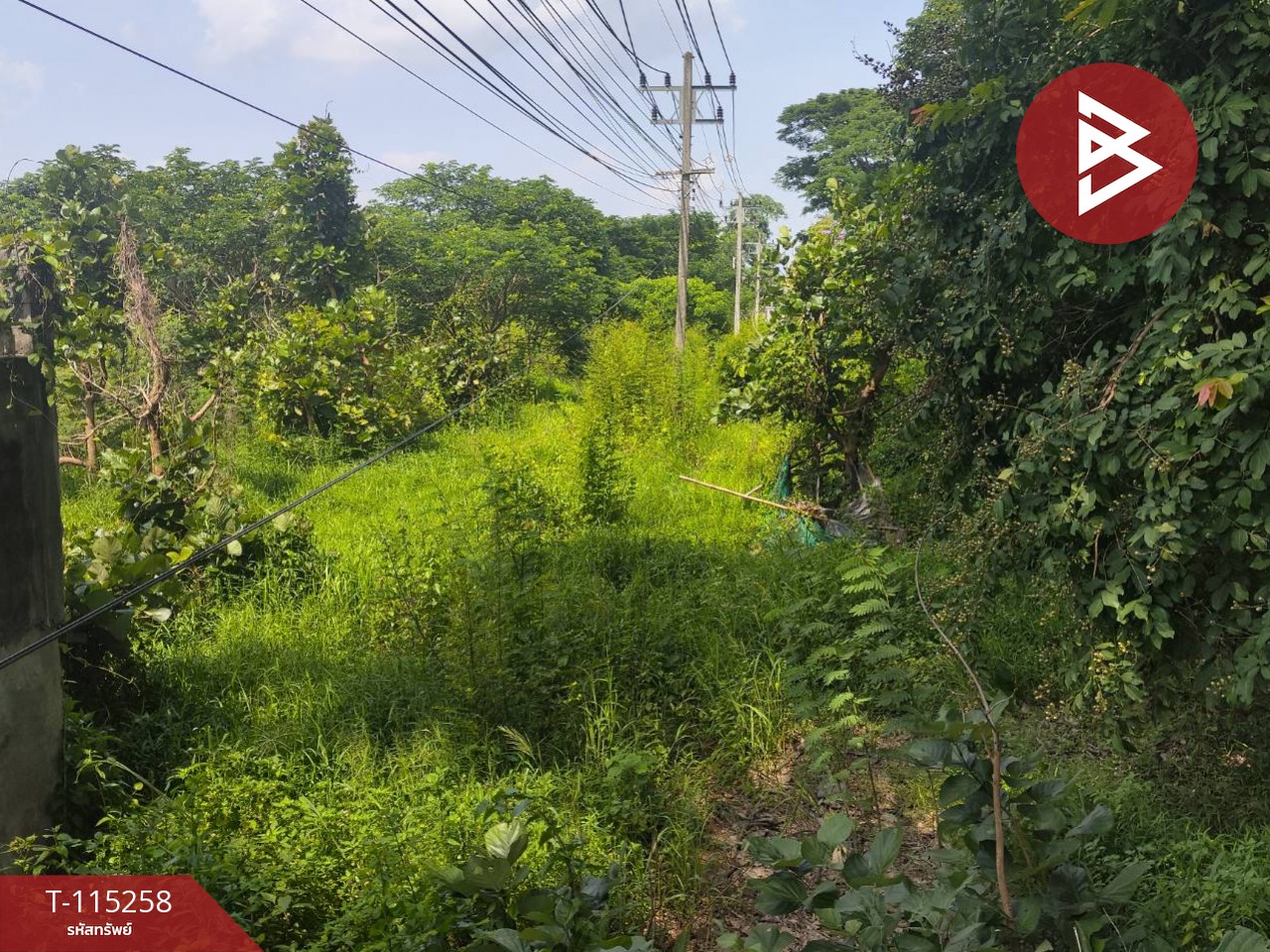 ขายที่ดินแปลงใหญ่ ติดถนนไฮเวย์ กรุงเทพ-เชียงใหม่ กาดทุ่งเกวียน