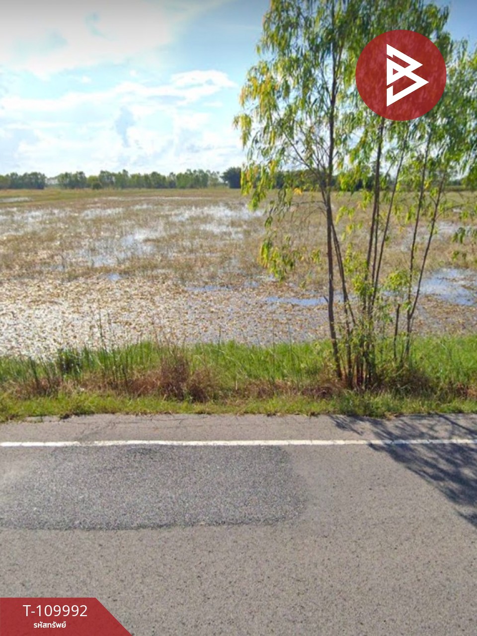 ขายที่ดิน เนื้อที่ 11 ไร่ 73 ตร.วา เมืองยาง นครราชสีมา