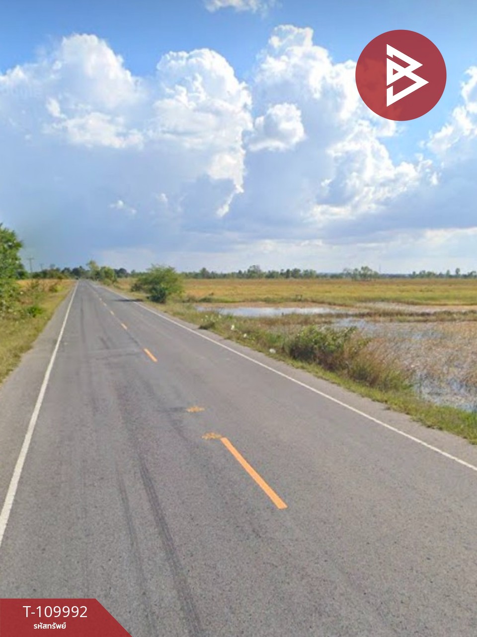 ขายที่ดิน เนื้อที่ 11 ไร่ 73 ตร.วา เมืองยาง นครราชสีมา