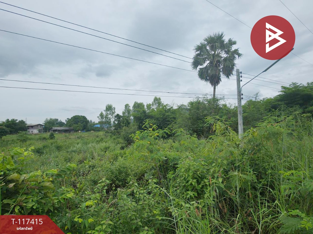 ขายที่ดิน เนื้อที่ 1 ไร่ หินกอง ราชบุรี