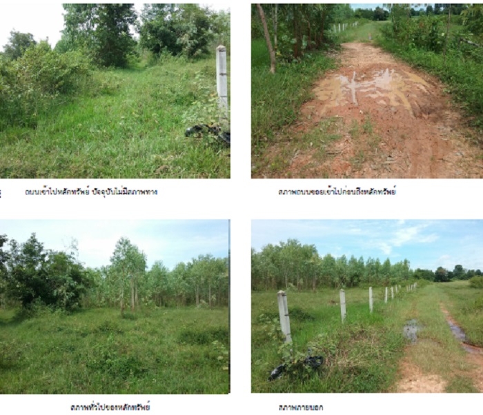KTB : ที่ดิน ตำบลขมิ้น สกลนคร 62NE010102101