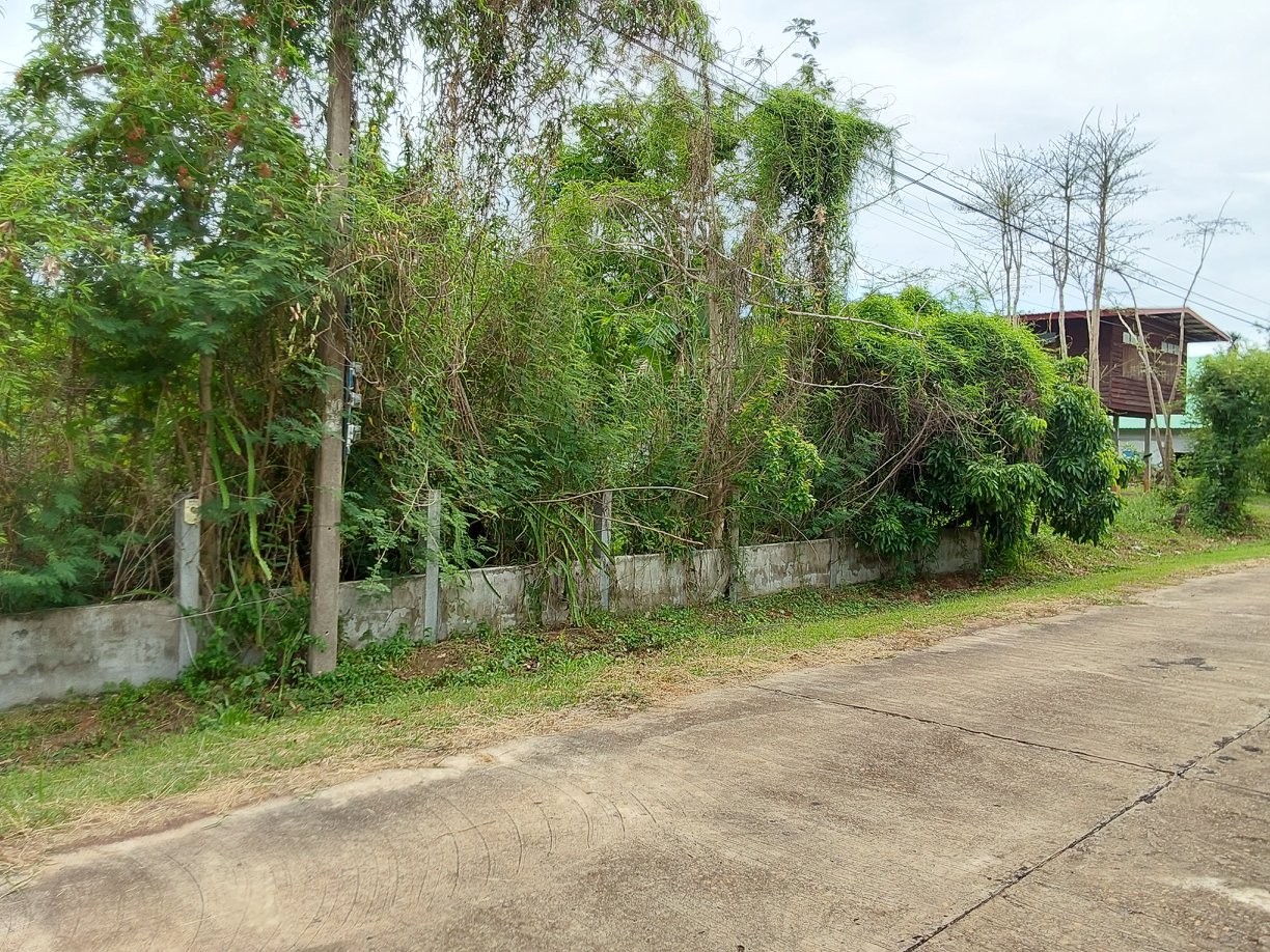 KTB : ที่ดิน ตำบลเจริญศิลป์ สกลนคร 66NE010100702