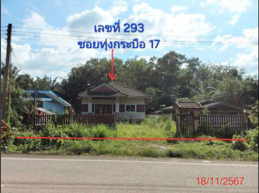 KTB : ที่ดินพร้อมสิ่งปลูกสร้าง ตำบลทุ่งกระบือ ตรัง 63SS010301939