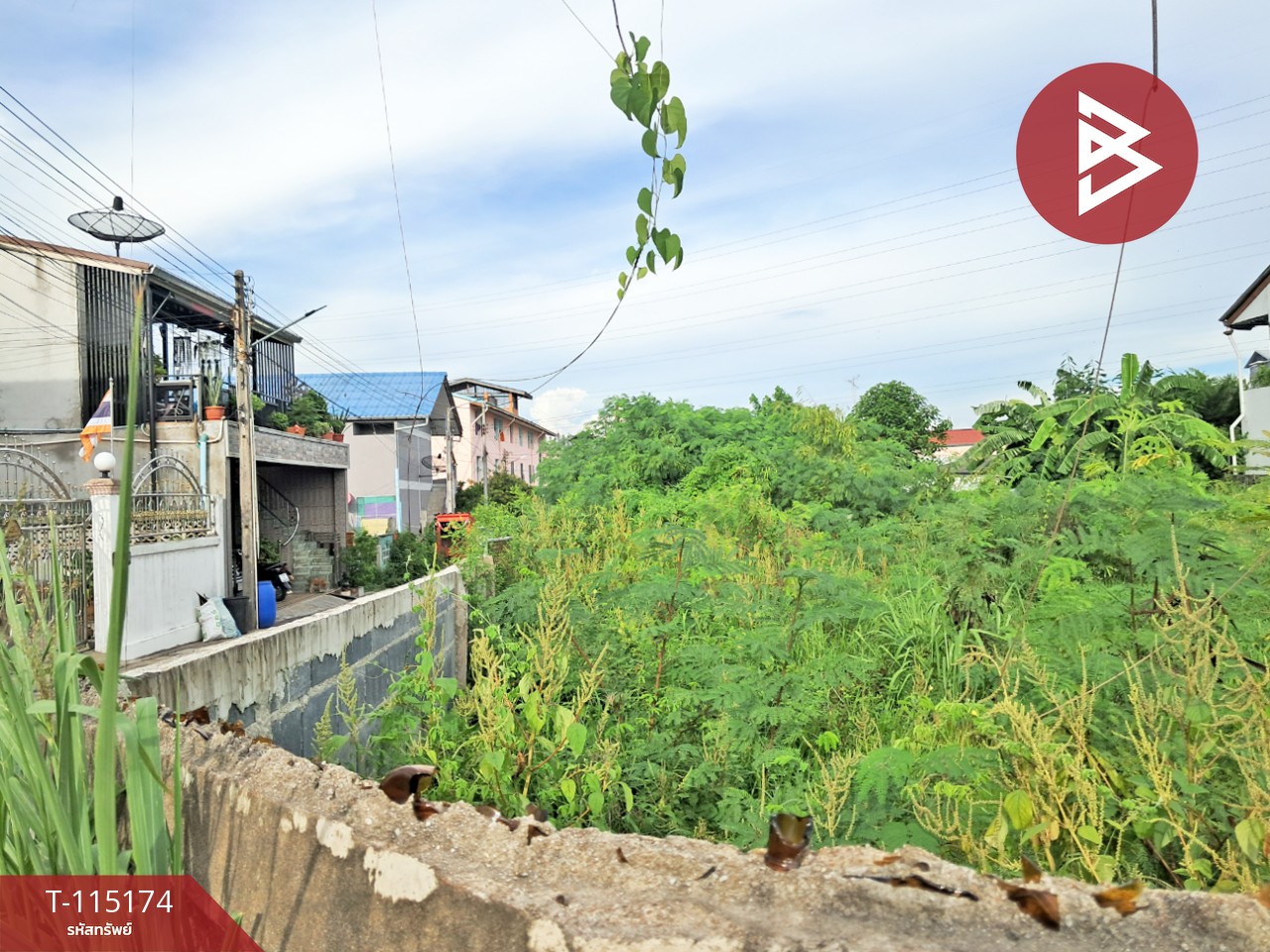 ขายที่ดิน เนื้อที่ 1 งาน 30 ตร.วา นาป่า ชลบุรี