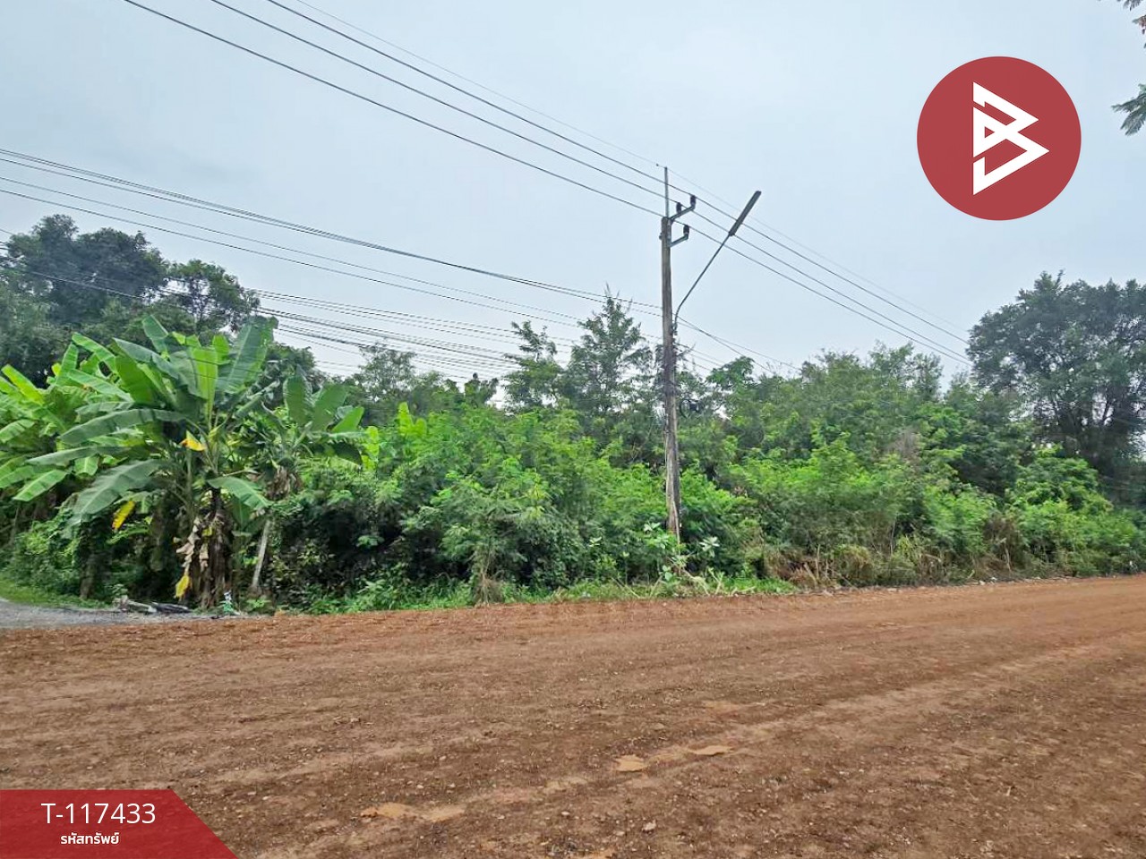 ขายที่ดิน เนื้อที่ 8 ไร่ 3 งาน 92 ตร.วา หนองเสือ ปทุมธานี