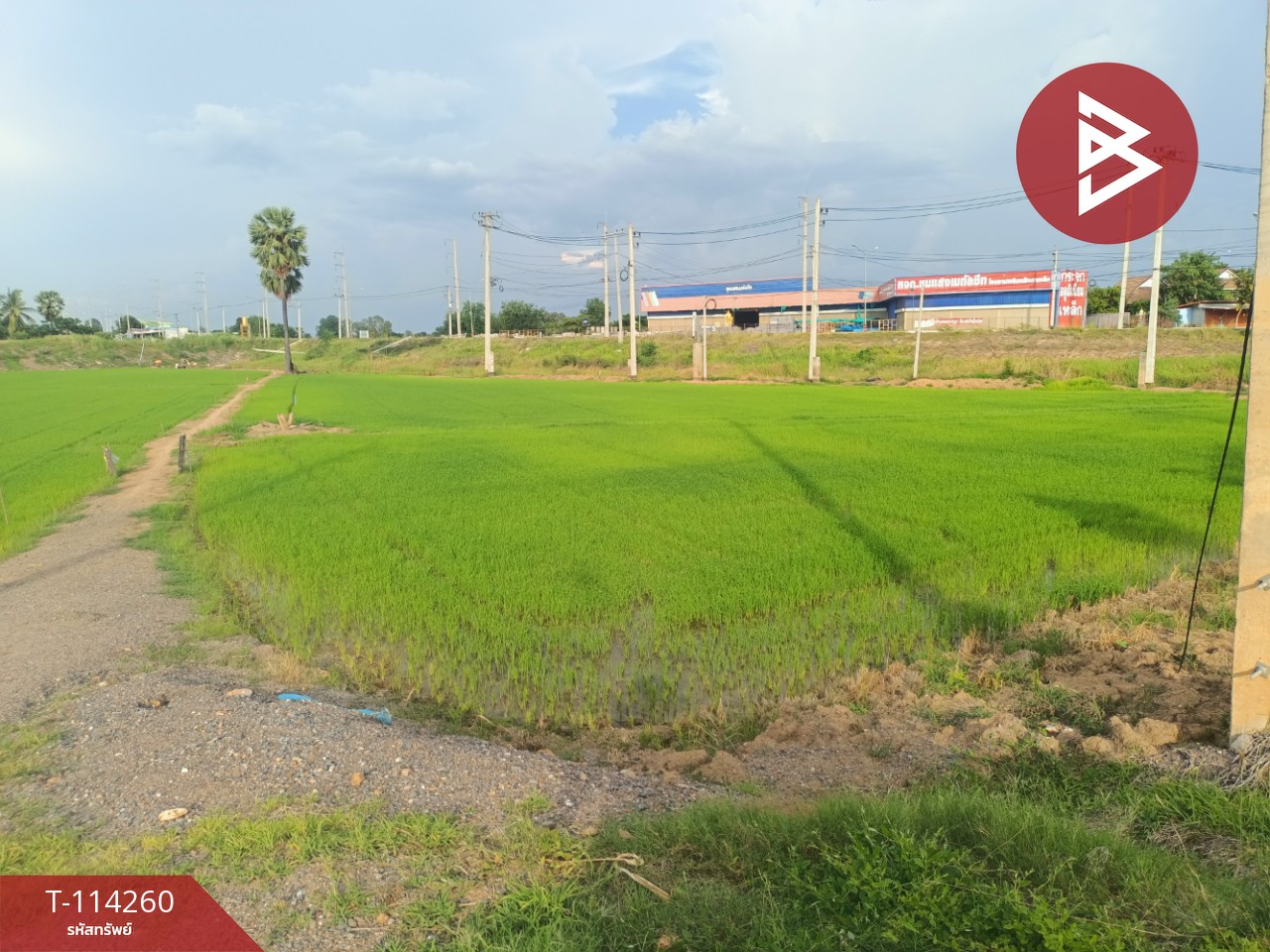 ขายที่ดิน เนื้อที่ 1 ไร่ 2 งาน 5.1 ตร.วา ชุมแสง นครสวรรค์
