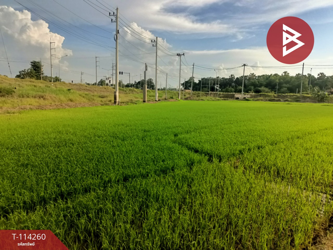 ขายที่ดิน เนื้อที่ 1 ไร่ 2 งาน 5.1 ตร.วา ชุมแสง นครสวรรค์