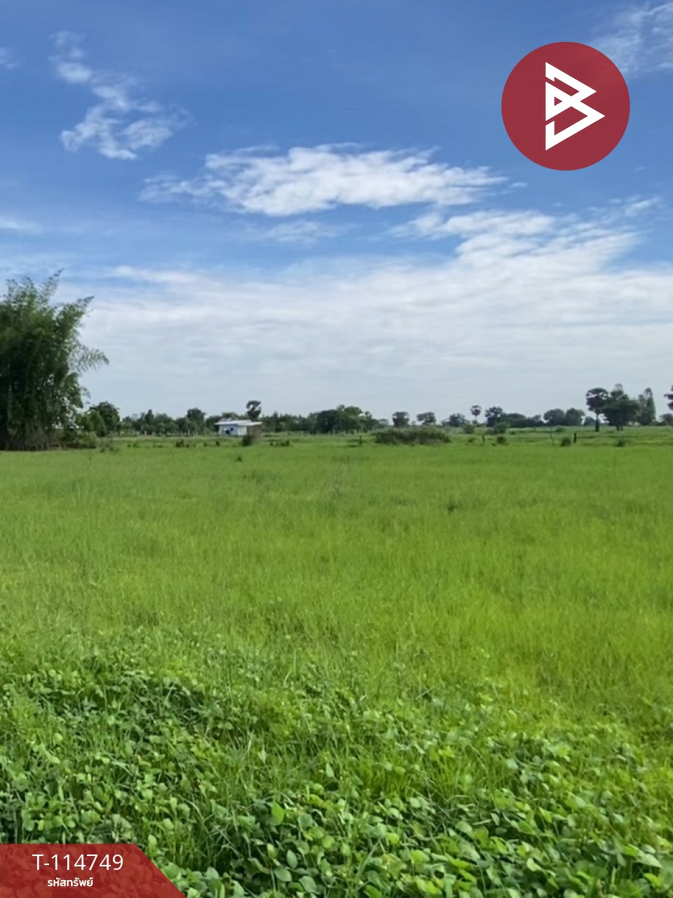ขายที่ดิน เนื้อที่ 5 ไร่ 1 งาน 64 ตร.วา บ้านฝาง ขอนแก่น